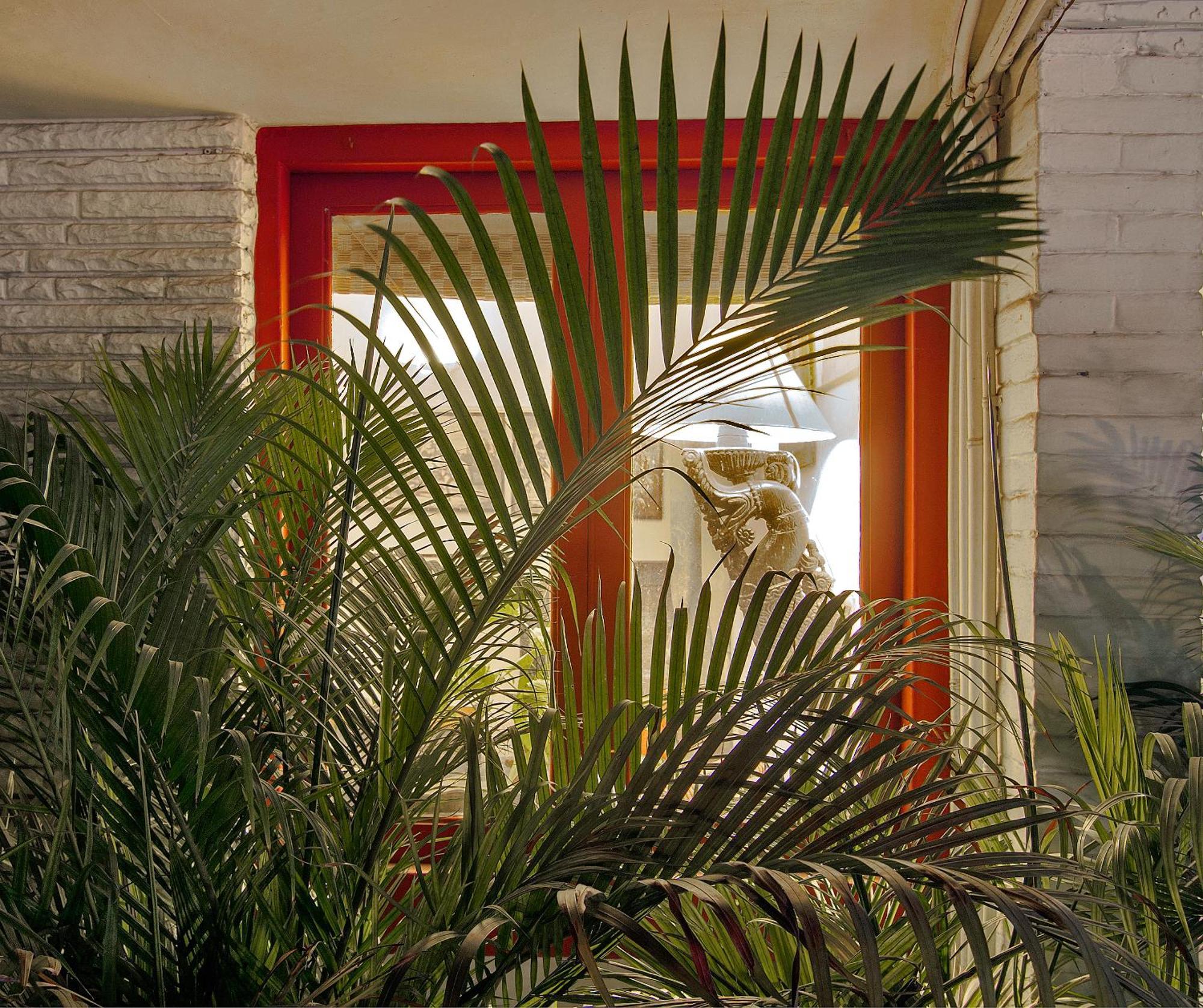 לינה וארוחת בוקר ניו דלהי Haveli Hauz Khas מראה חיצוני תמונה