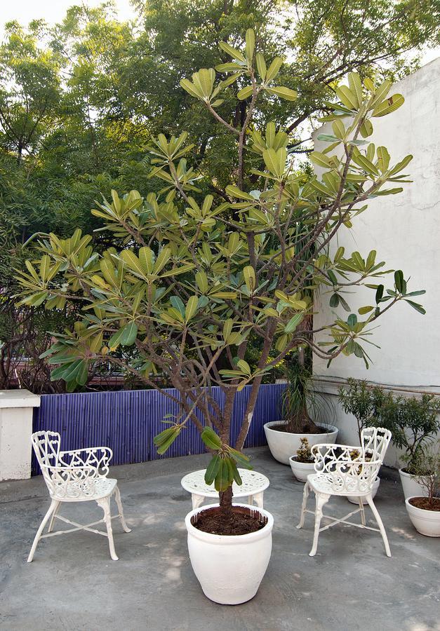 לינה וארוחת בוקר ניו דלהי Haveli Hauz Khas מראה חיצוני תמונה